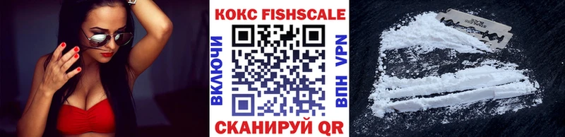 купить наркотик  Шатура  COCAIN FishScale 