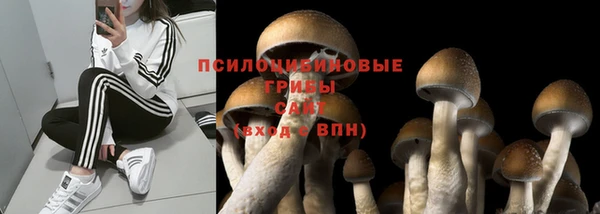 наркотики Лиски