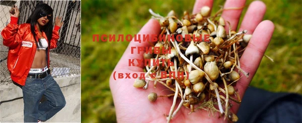 герыч Липки