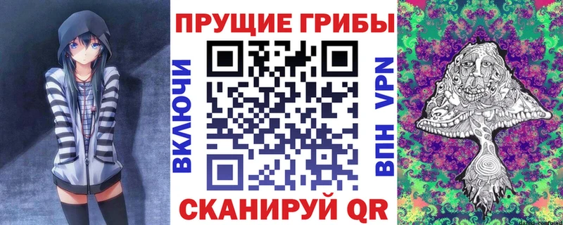 дарнет шоп  Шатура  Галлюциногенные грибы Magic Shrooms 