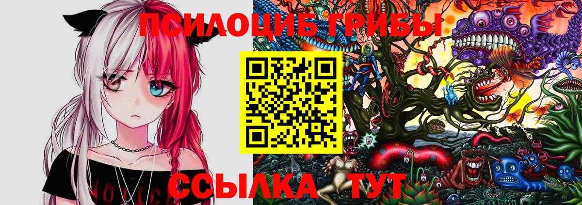 Псилоцибиновые грибы Psilocybe  Псилоцибиновые грибы Psilocybe  Шатура 