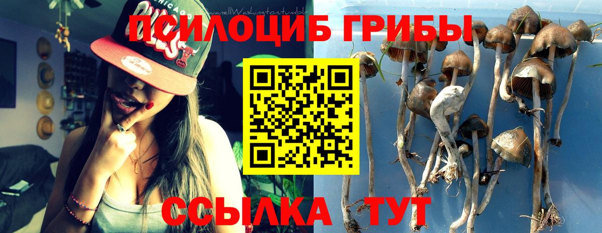 Псилоцибиновые грибы мицелий Шатура
