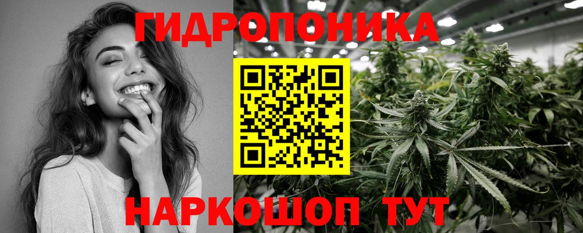 Бошки марихуана план  Конопля VHQ  Марихуана Ganja  Шатура  Конопля SATIVA & INDICA 
